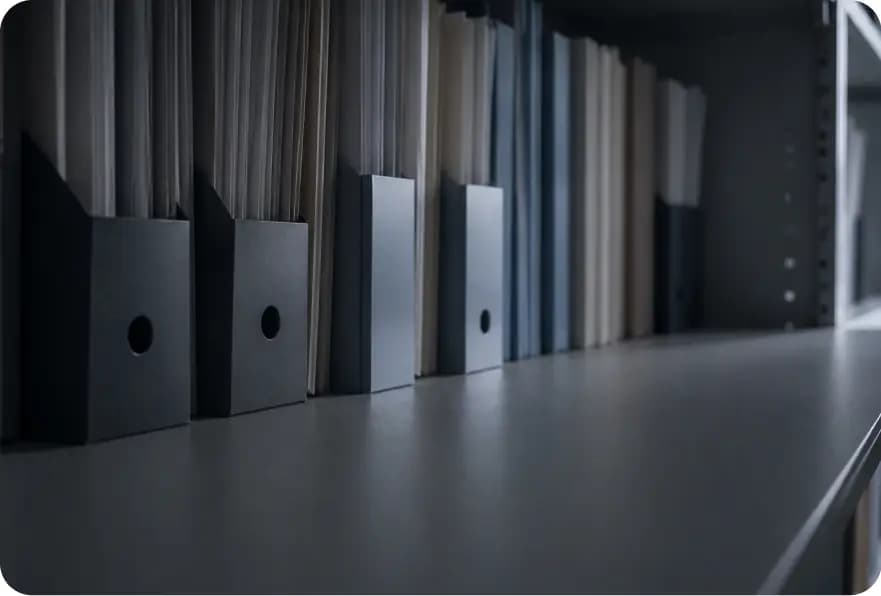 Archive shelves with document folders